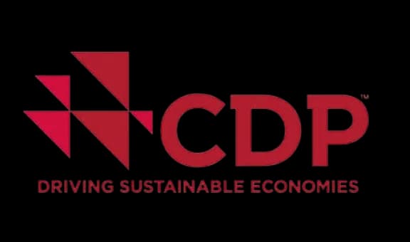 CDP