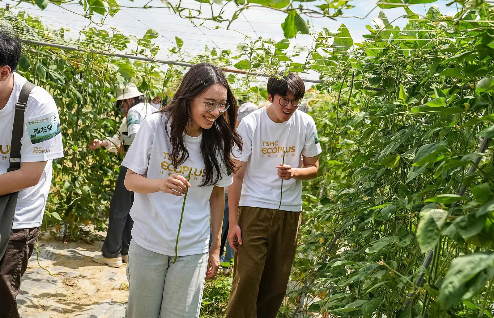 國內首家獲保育共生地認證半導體企業，台積公司打造綠色廠區新典範